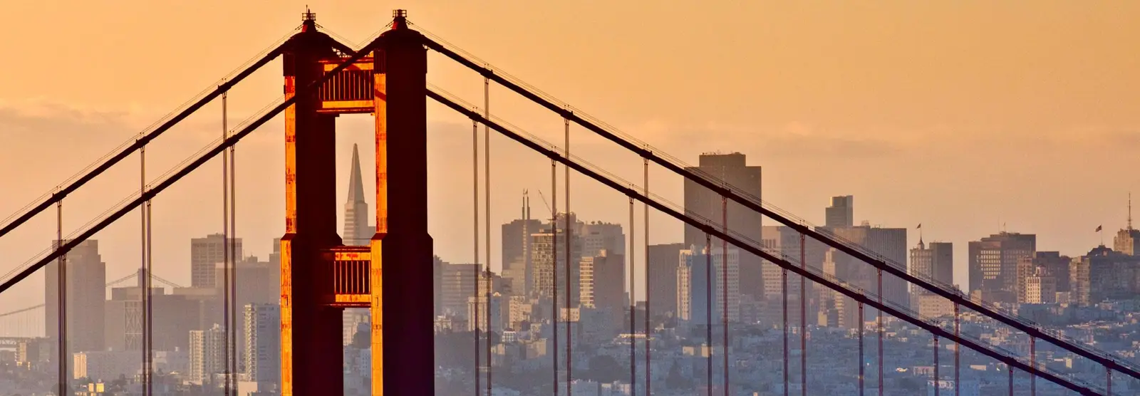 Parkwide Bike Rentals and Tours — снимка 2 от 5