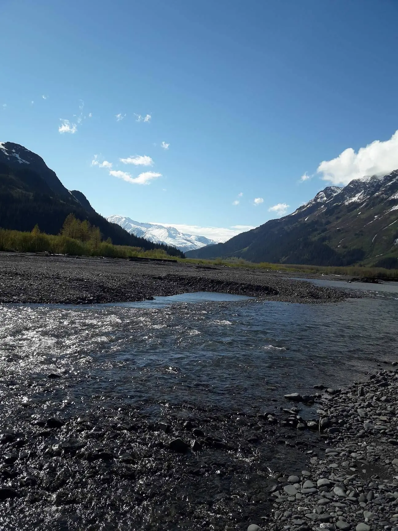 Seward Windsong Lodge — снимка 2 от 9