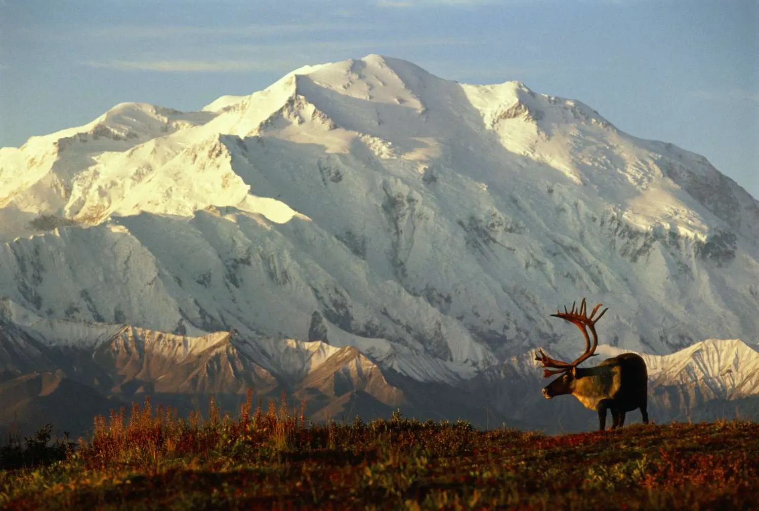 Denali Rainbow Village RV Park & Motel — снимка 3 от 5