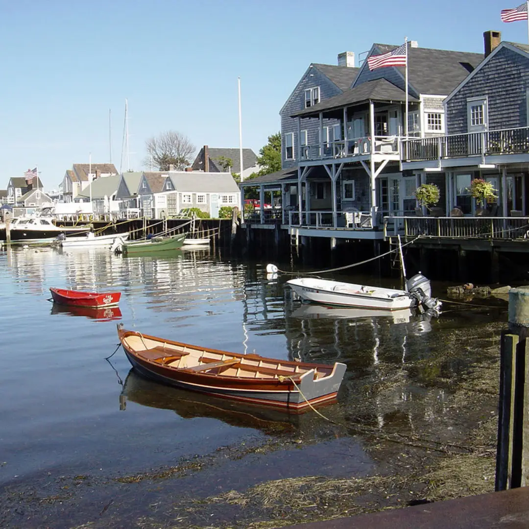 Blue Iris — Edgartown, Massachusetts
