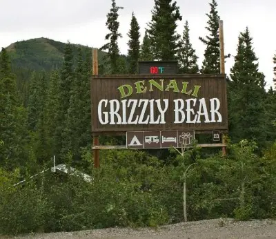 Denali Grizzly Bear Resort