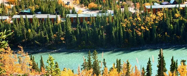 Denali Grizzly Bear Resort — снимка 8 от 9