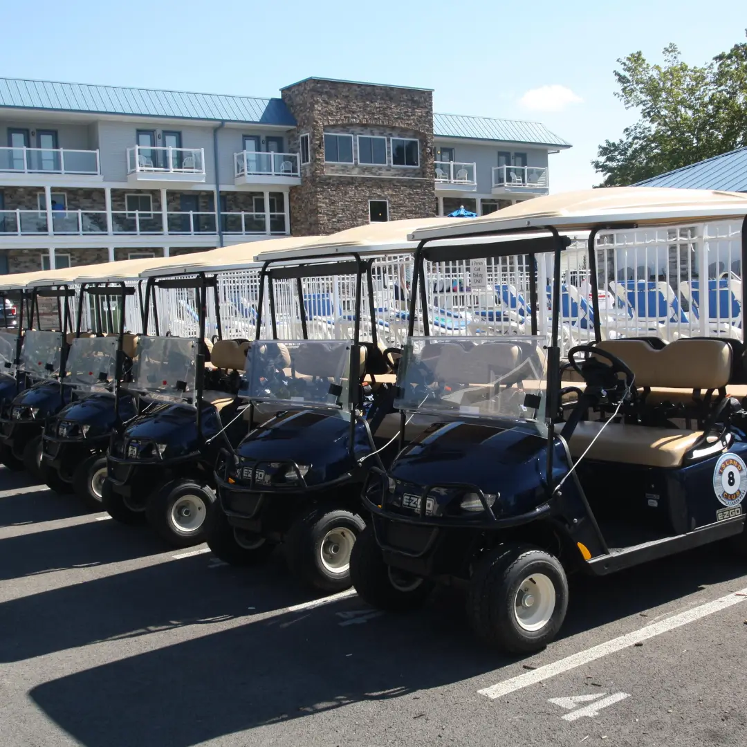 E's Put-in-Bay Carts — снимка 3 от 3