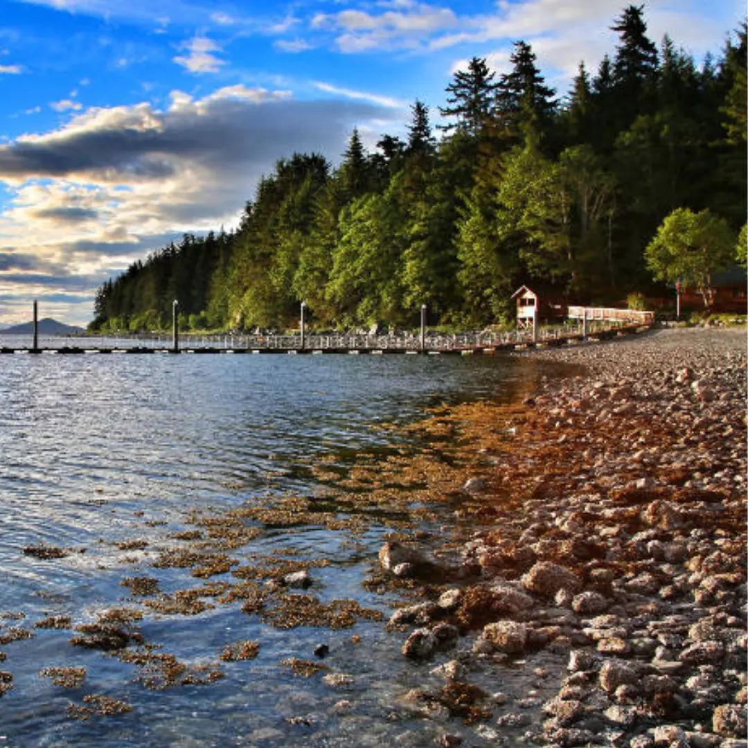Orca Point Lodge — снимка 3 от 5