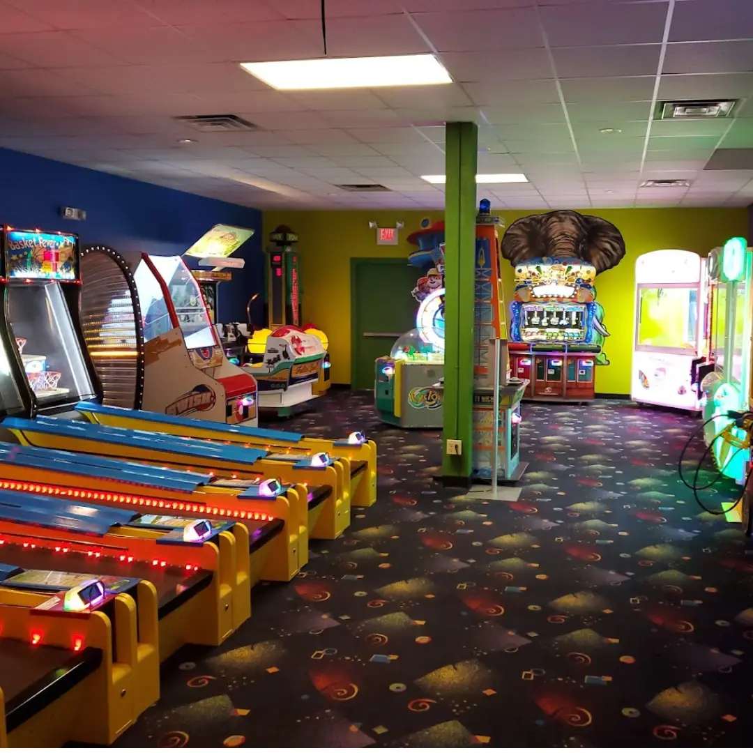 Wild Fun Zone — снимка 3 от 3