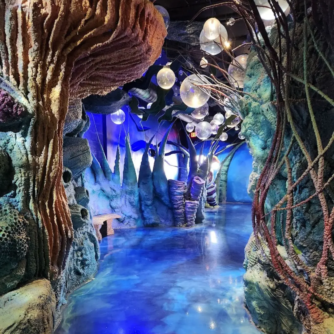 Concept Attractions Wizard Quest & Ripleys — снимка 2 от 3
