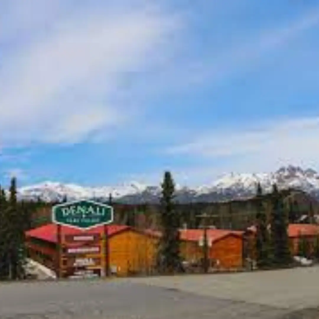 Holland America Princess - Denali Park — снимка 2 от 2