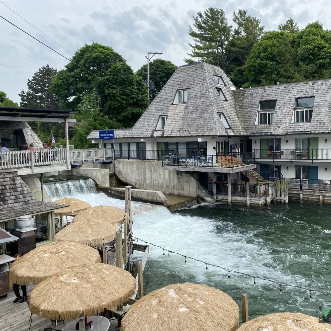 The Cove
