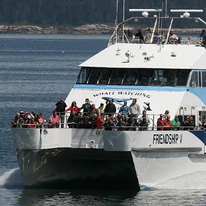 Bar Harbor Whale Watch