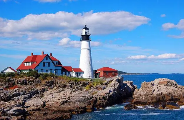 Bar Harbor Whale Watch — снимка 4 от 4