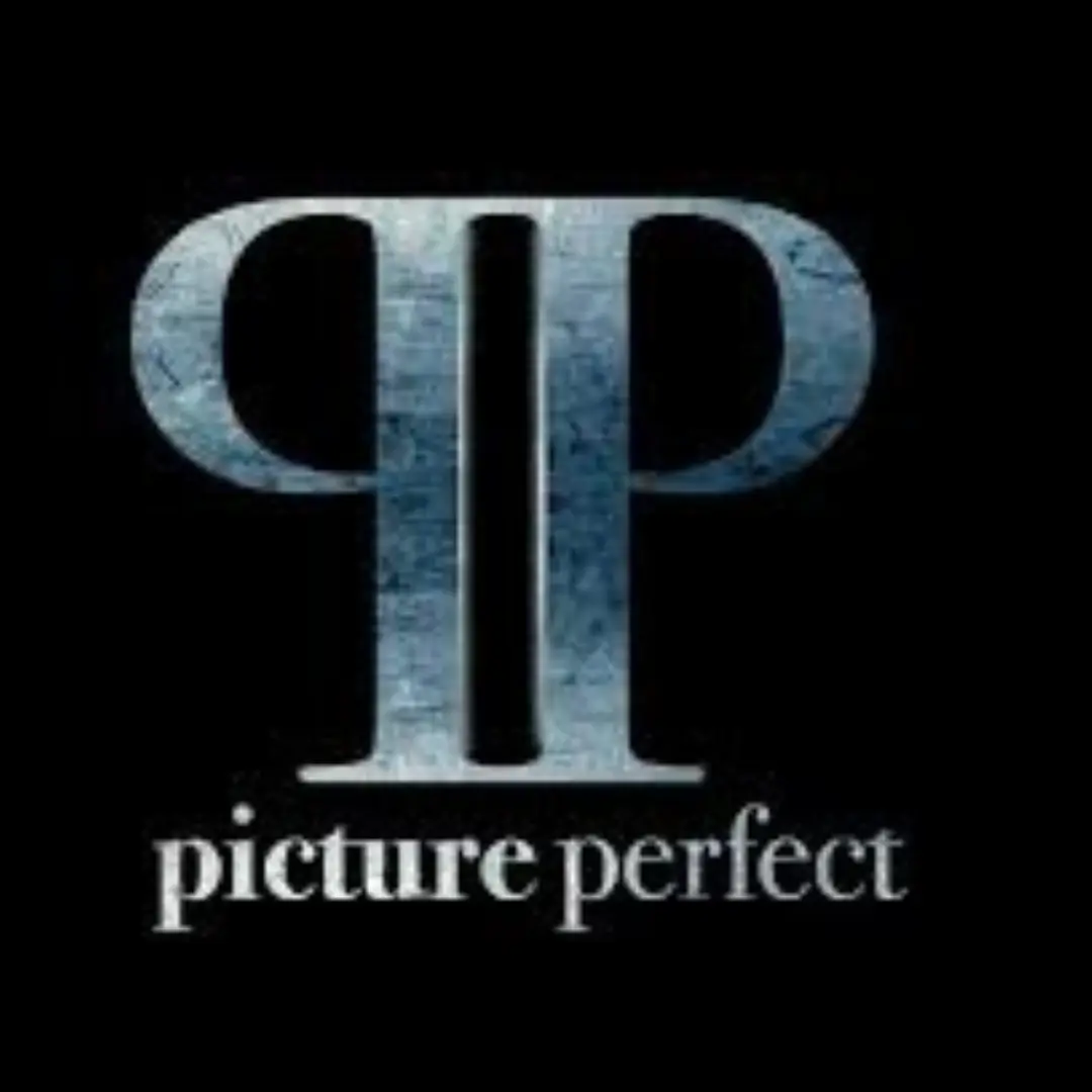 Picture Perfect Productions