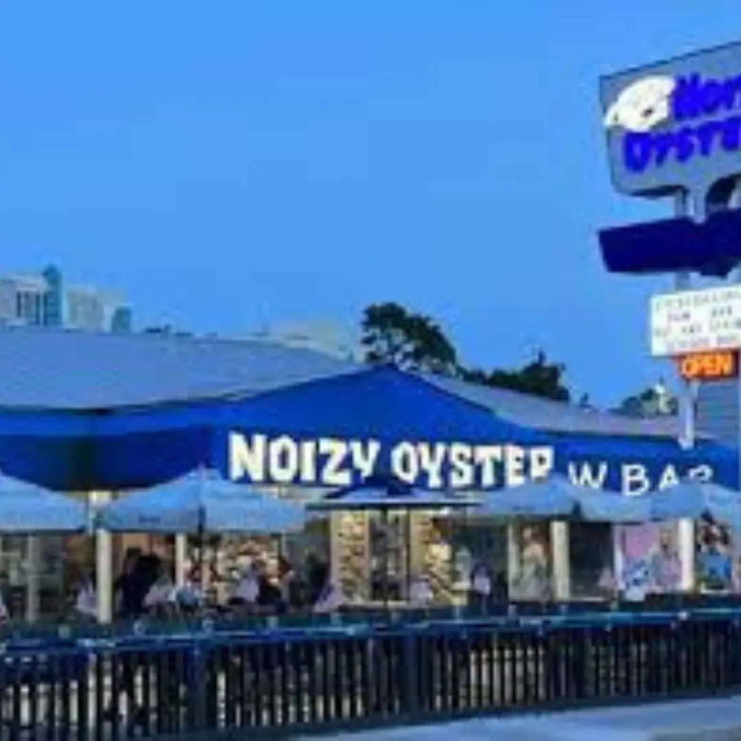 Noizy Oysters