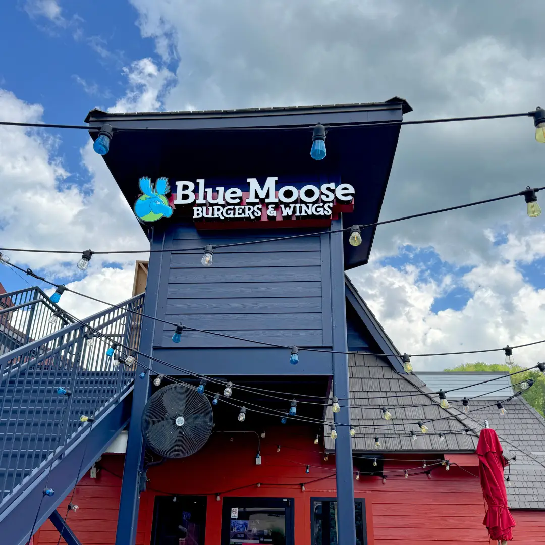 DCL Blue Moose