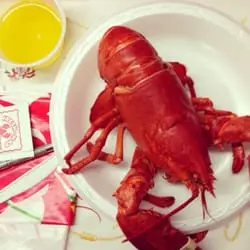 Lobster Pot — снимка 3 от 4