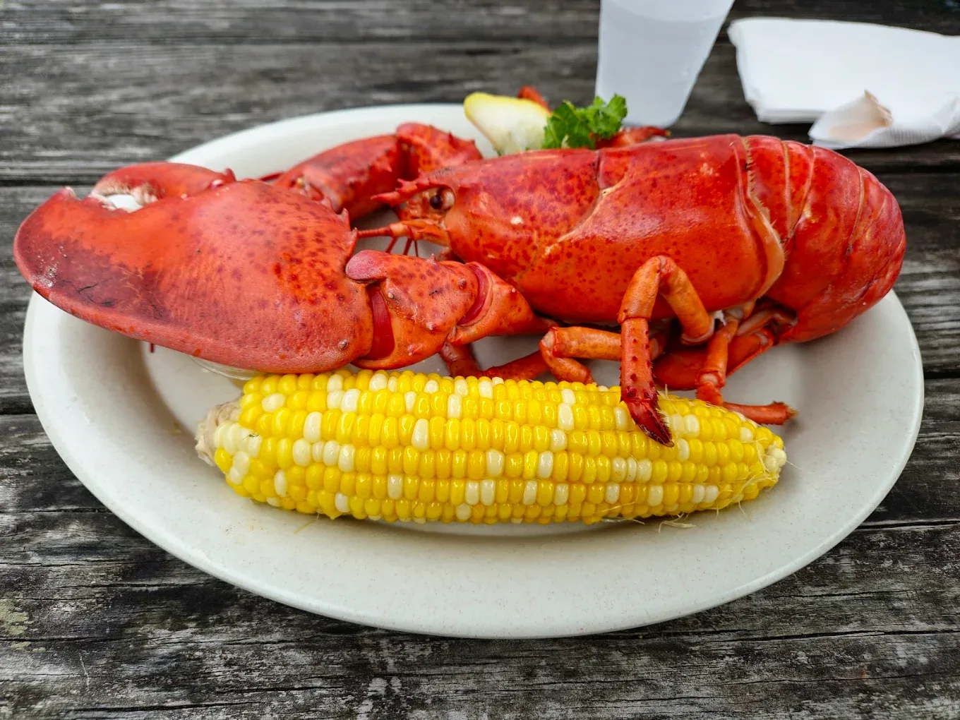 Moby Dick's Restaurant — Work and Travel и студентска бригада в Wellfleet, Massachusetts — снимка 9 от 9