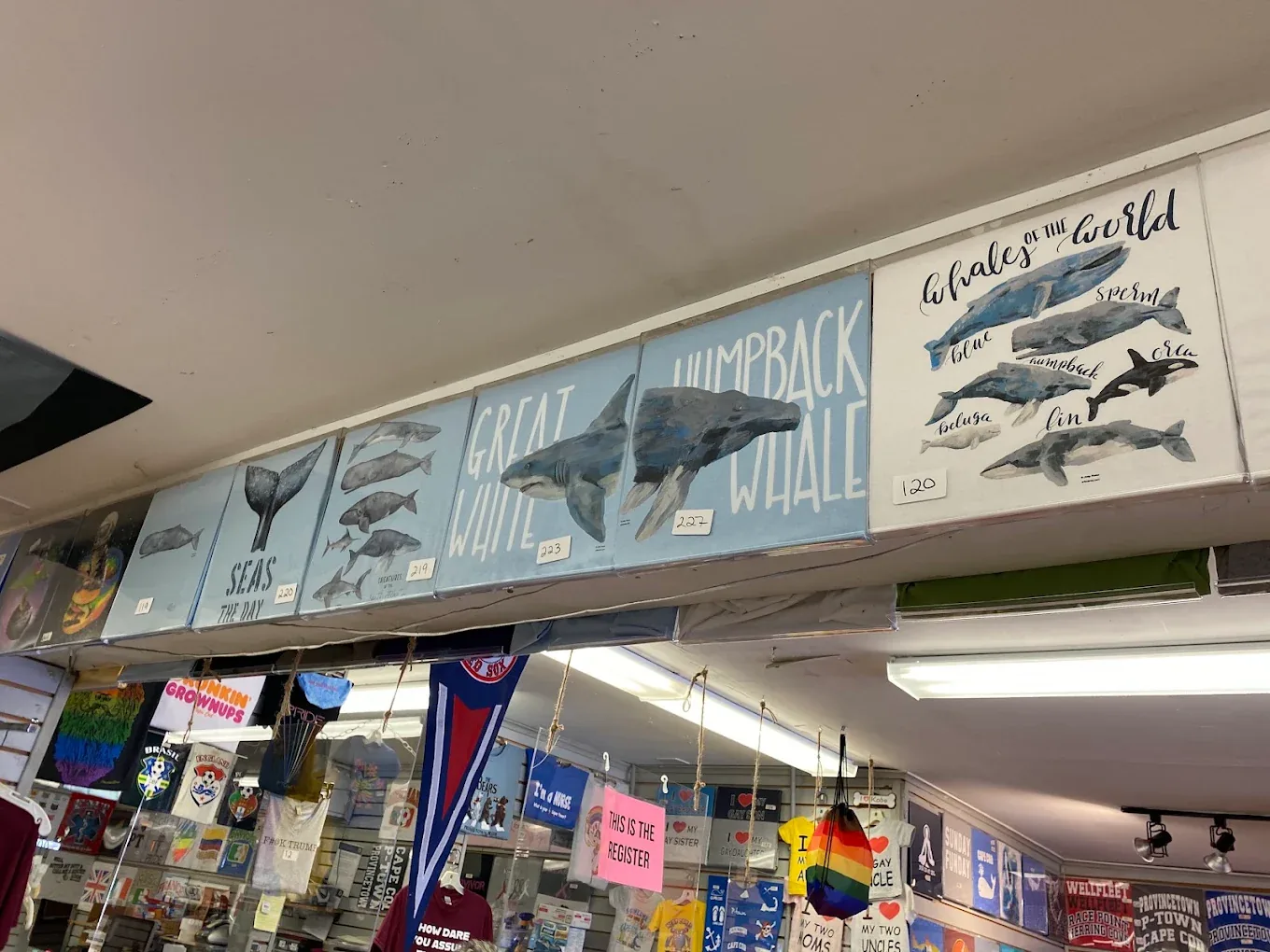 Shaloms Gift Shop — Work and Travel и студентска бригада в Provincetown, Massachusetts — снимка 3 от 5
