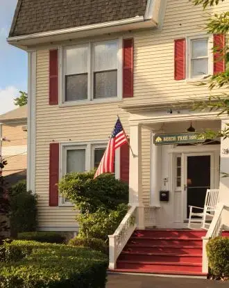 Beech Tree Inn — снимка 6 от 8