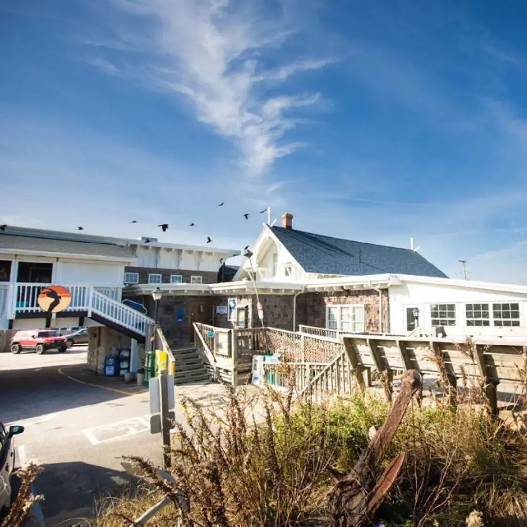Black Pelican Oceanfront Restaurant — photo 1