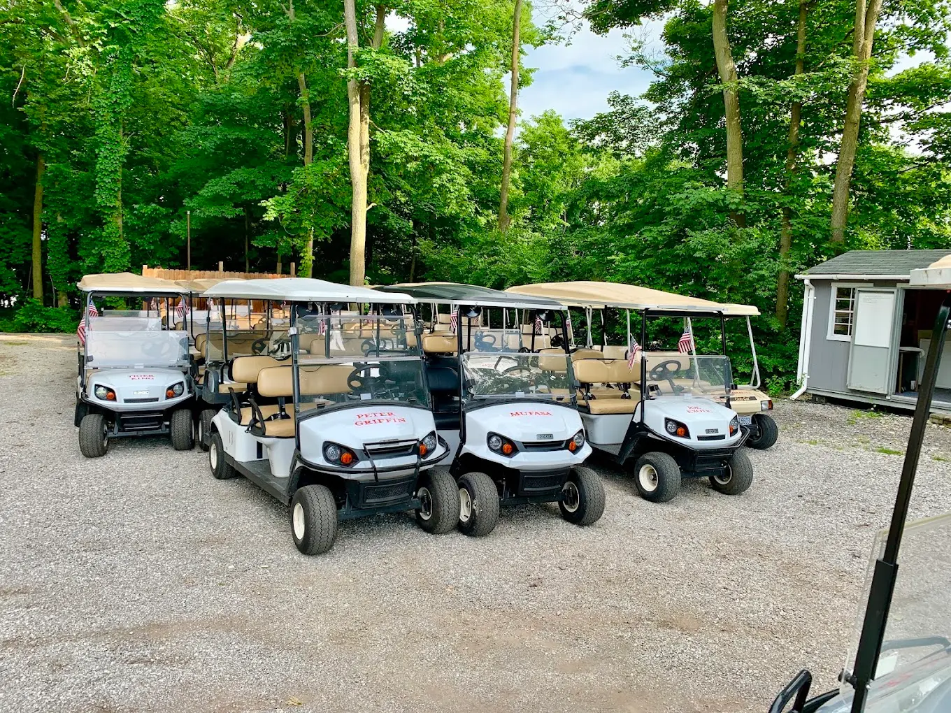 E's Put-in-Bay Carts — Work and Travel employer in Put In Bay, Ohio