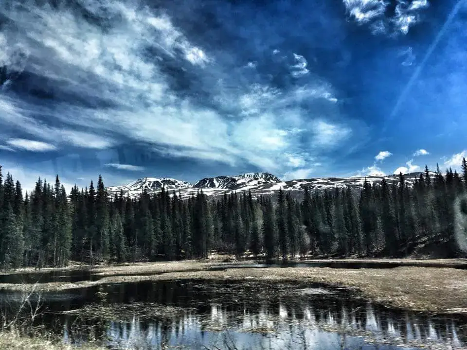 Grande Denali Lodge — photo 12