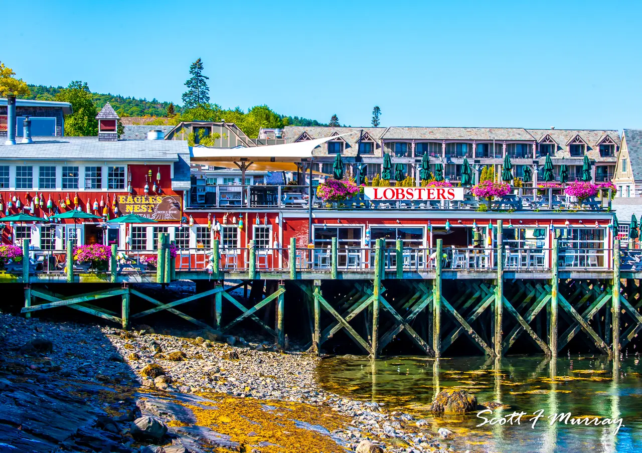 Stewmans Lobster Pound — photo 3