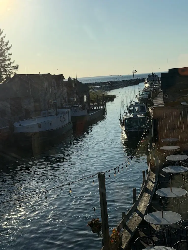 The Cove — photo 8