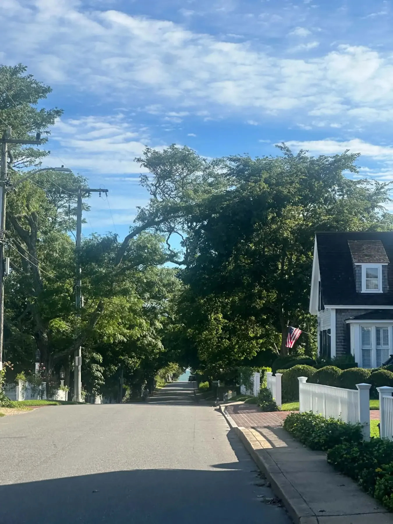 Спомен от лятото на Сибел Гущерова в Massachusetts